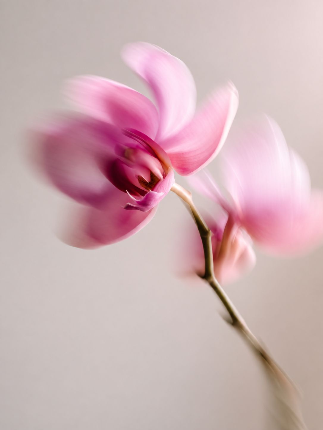 Connecting TikTok Without Errors